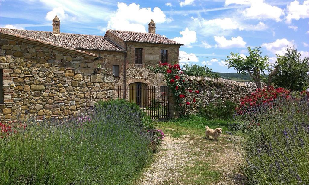 Agriturismo Pianoia Pienza Exteriör bild