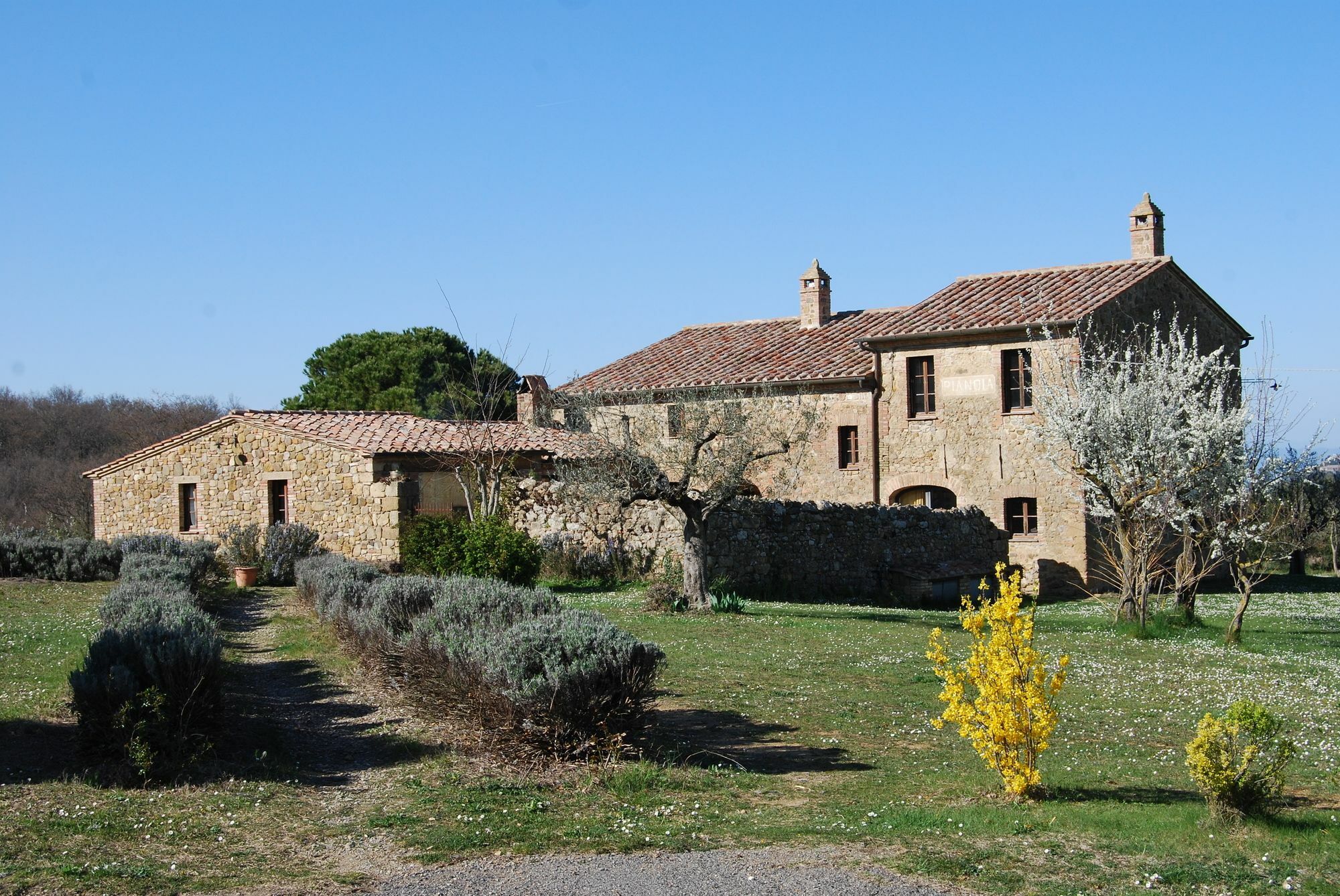 Agriturismo Pianoia Pienza Exteriör bild